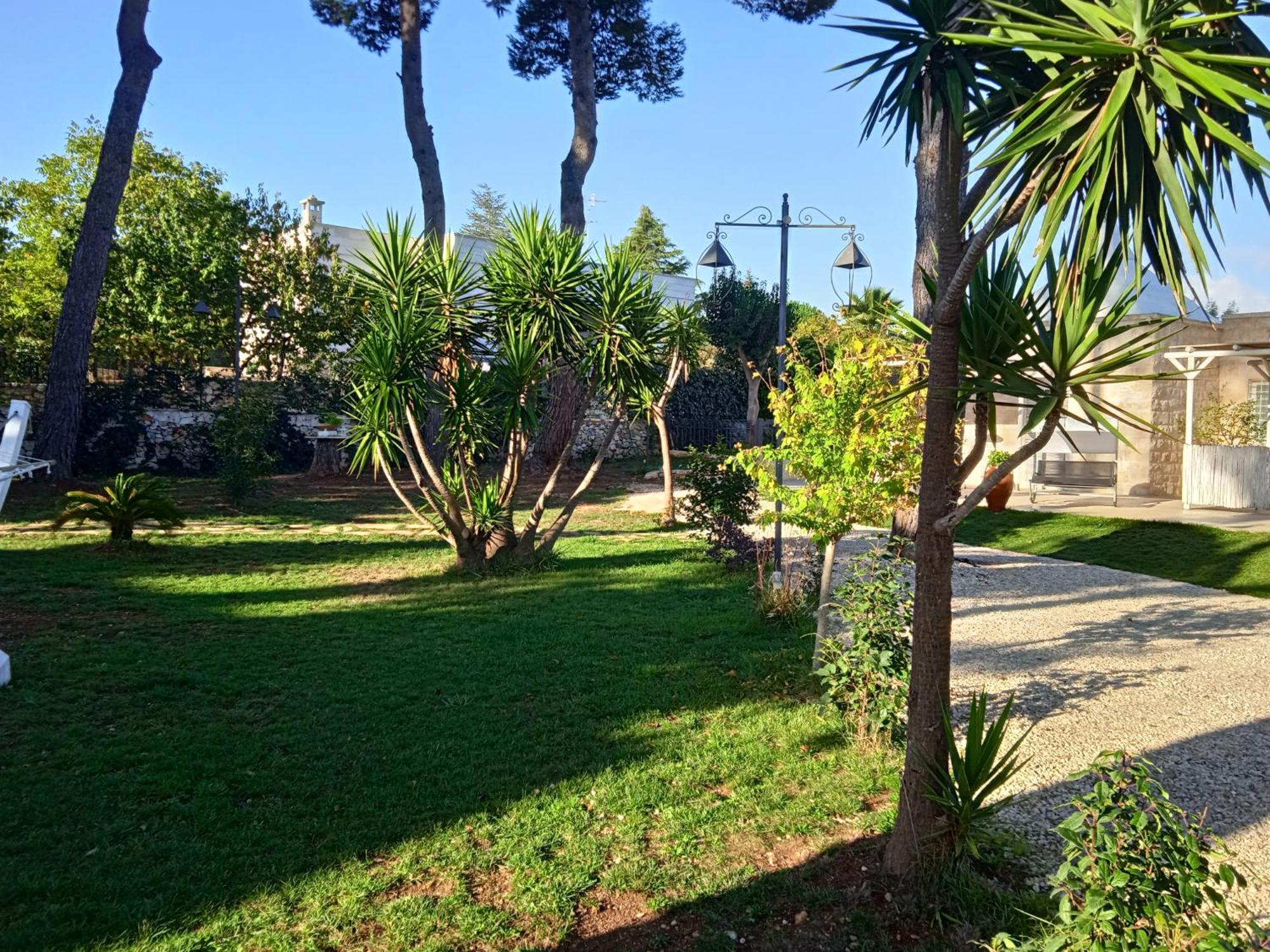 Villa Don Peppe Selva Di Fasano Rum bild