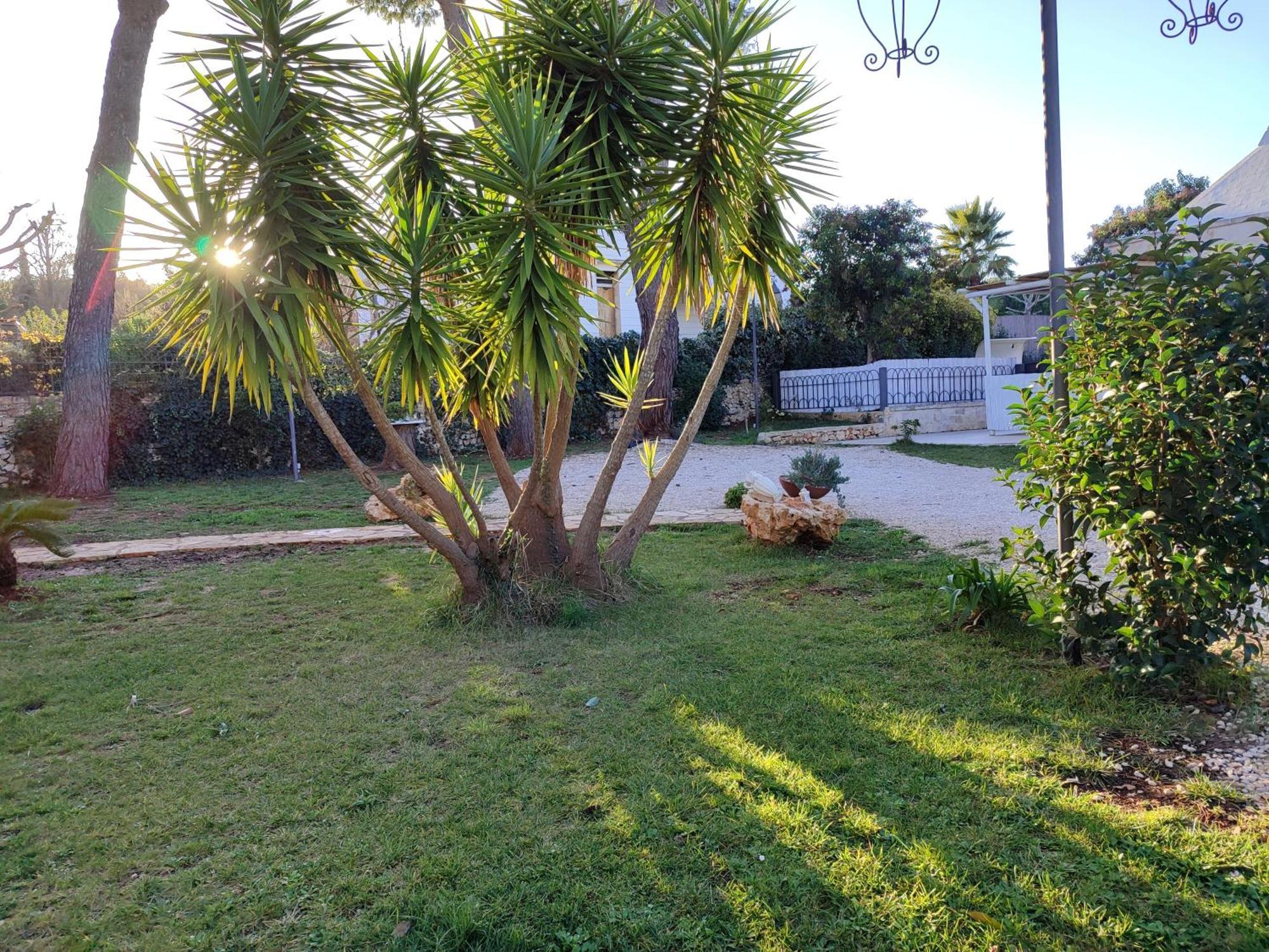 Villa Don Peppe Selva Di Fasano Rum bild